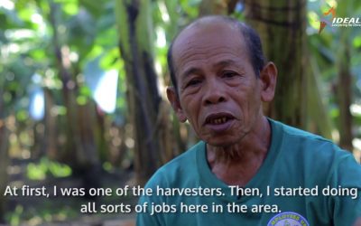 Destiny of Debts: The struggle of banana farmers in the Philippines