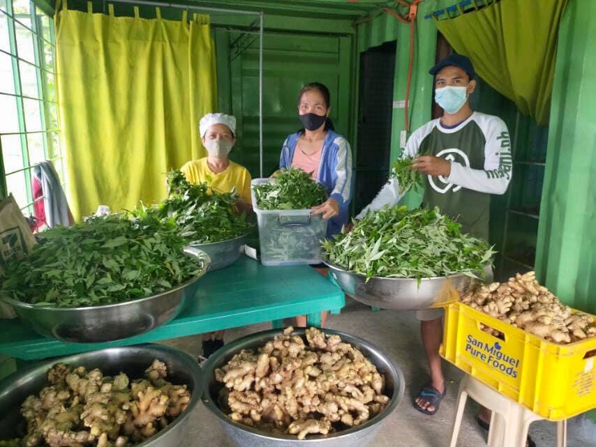 Mayani: Using tech to help farmers feed Filipinos, ensure market, and reduce food waste